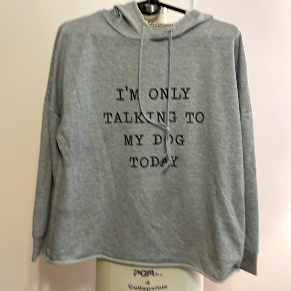 Women’s Lightweight Sweatshirt Large Unknown Brand